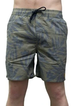 Brixton Havana Trunk