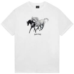 Passport Brumbies Tee