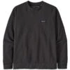 Patagonia Regenerative Organic Cotton Crew