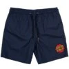 Santa Cruz Classic Dot Cruizer Youth Beach Short