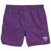 Stussy Basic Stock Beachshort