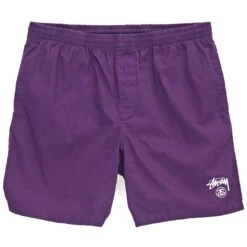 Stussy Basic Stock Beachshort