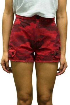 Stussy Camo Short