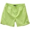 Stussy Water Long Beachshort